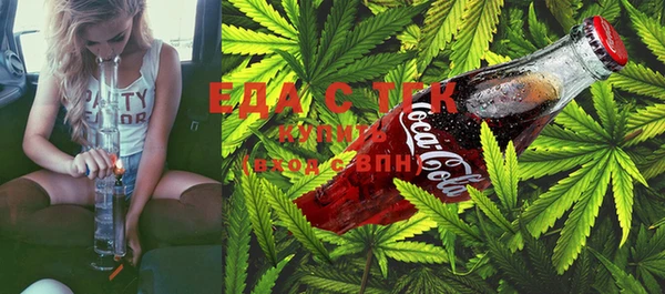 индика Алексин