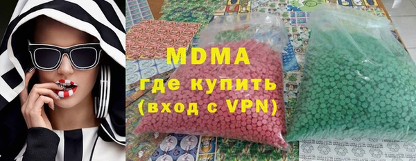 индика Алексин