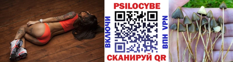 наркотики  Новомичуринск  Галлюциногенные грибы GOLDEN TEACHER 
